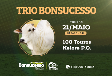 LEILÃO TRIO BONSUCESSO - TOUROS